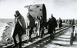 Многие раненые доставлялись к месту лечения методом самовыхода