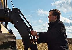 Дмитрий Медведев к родному зерну относится менее бережливо, чем Владимир Путин