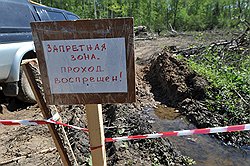 Химкинский лес — редкий случай, когда деревья защищают не от, а для вырубки 