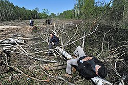 Активисты часто оказываются на месте вырубки уже слишком поздно  