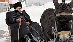 Предвыборная кампания-2012 заставила кандидатов прибегнуть к неожиданным для себя образам и ресурсам  