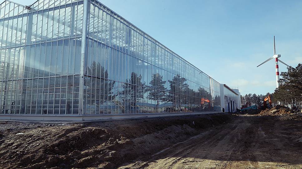 Теплицы компании JGC Evergreen, построенные на территории опережающего развития "Хабаровск",— единственный за последние годы японский проект в России, существующий не на бумаге  