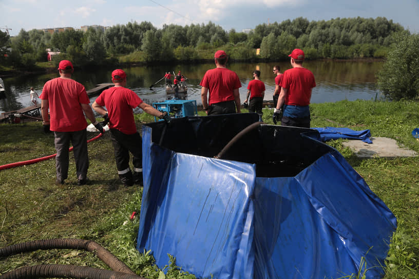 В рабочую группу вошли представители местных ведомств, к ним присоединились экологи, волонтеры и ветеринары  