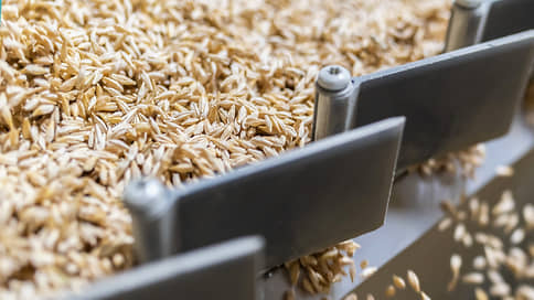 Экспортеры перебирают зерно // Цены на поставки российской пшеницы достигли максимума за семь месяцев