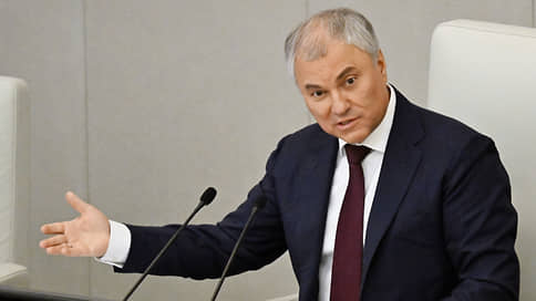 Вячеслав Володин призвал власти не давить на желающих сделать аборт женщин