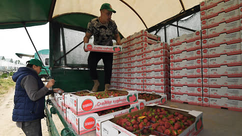 Ищи накладную в поле // Фермеры просят отсрочить требования о цифровизации их перевозок