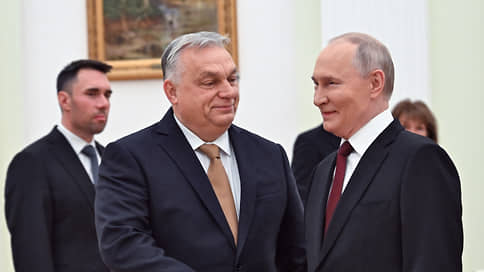 Bloomberg рассказало о том, как мышь помогала львам