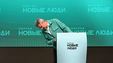 «Новым» добавили новизны // Партия Алексея Нечаева надеется сохранить и приумножить свою фракцию в Госдуме