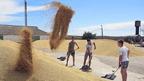 Russian Wheat and Barley Prices Drop 8-14.5% on Export Disruptions