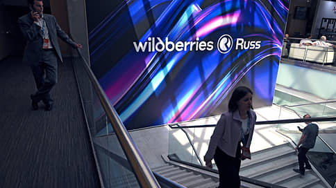 Это не про движение // На Wildberries снижаются объемы размещения рекламы