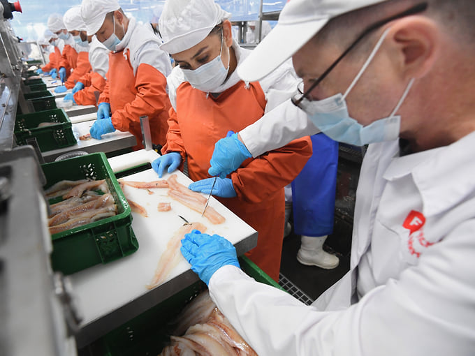 Морепродукты нашли конвейер