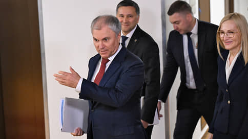 Вице-спикерам расписали комитеты // Председатель Думы перераспределил обязанности между своими заместителями