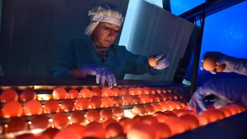 Перелетные яйца // Импорт яиц в Россию сократился на 10,1%