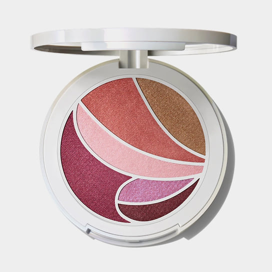 Mac, палетка для глаз и лица из ограниченной серии Mac Metamorphosis Face And Eye Palette: микс из шести лимитированных оттенков, которые можно использовать как тени, румяна или скульптор