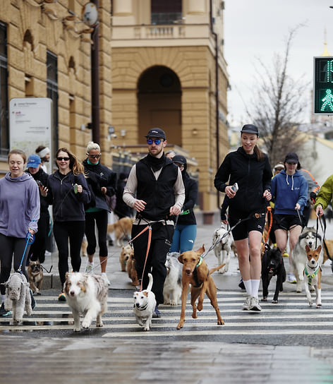 Беговой клуб Peak Running Club 