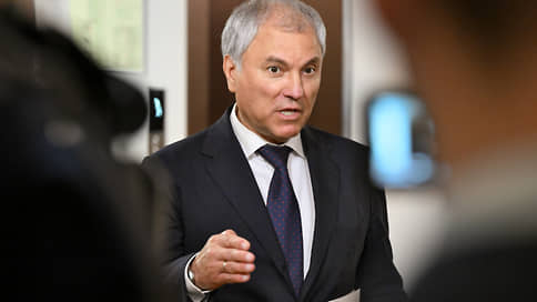 Володин раскритиковал главу Минтруда за пробелы в миграционной политике