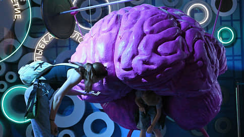 Мини-мозги научились решать задачки // Анна Кулецкая  об исследовании функций главного органа человека