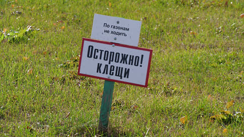 В Свердловской области зафиксировано 17,3 тыс. случаев укусов клещей