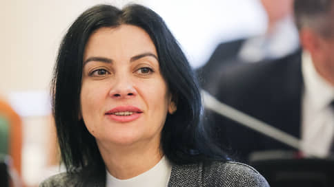 Лидер нижегородских эсеров опровергла доход в 48,6 млн рублей