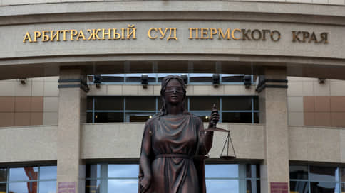 Арбитражный суд признал законным привлечение к ответственности пермского владельца опор ЛЭП