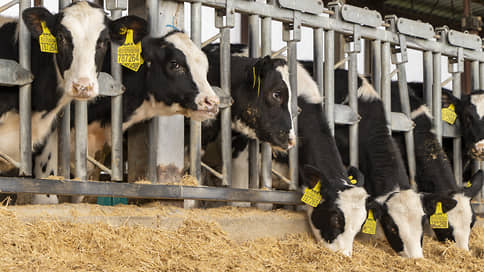 Чайковскую ветстанцию оштрафовали за нарушение при экспертизе продукции