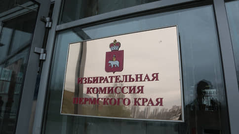 В Прикамье зарегистрировали первых кандидатов в депутаты Госдумы РФ