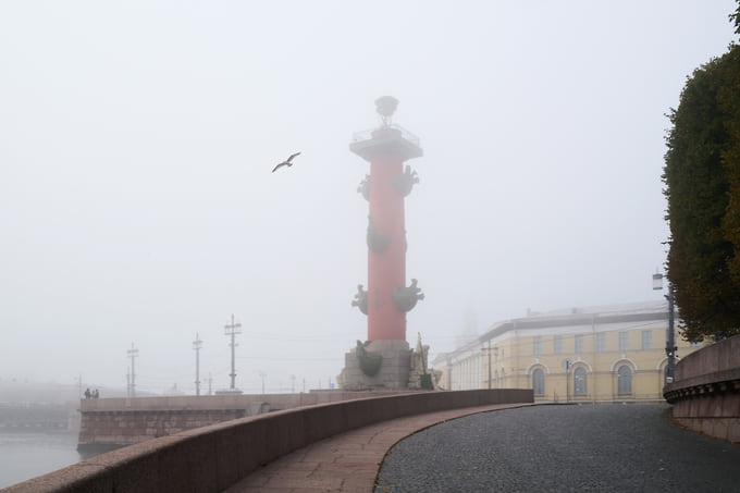 Днем воздух прогреется до +12...+14 градусов