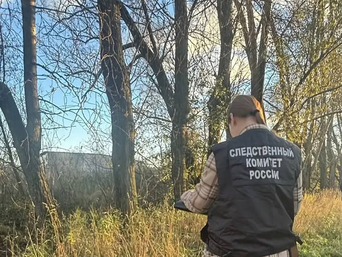 СК завел дело об убийстве после находки человеческих останков в Петербурге