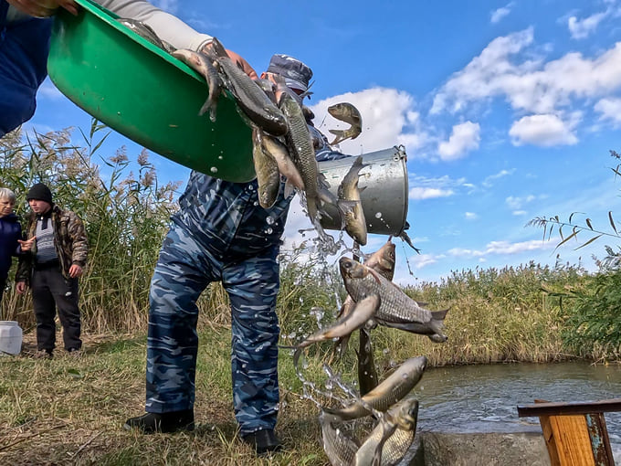Миллион мальков сазана и белого амура  выпустила в Цимлянское водохранилище Ростовская АЭС