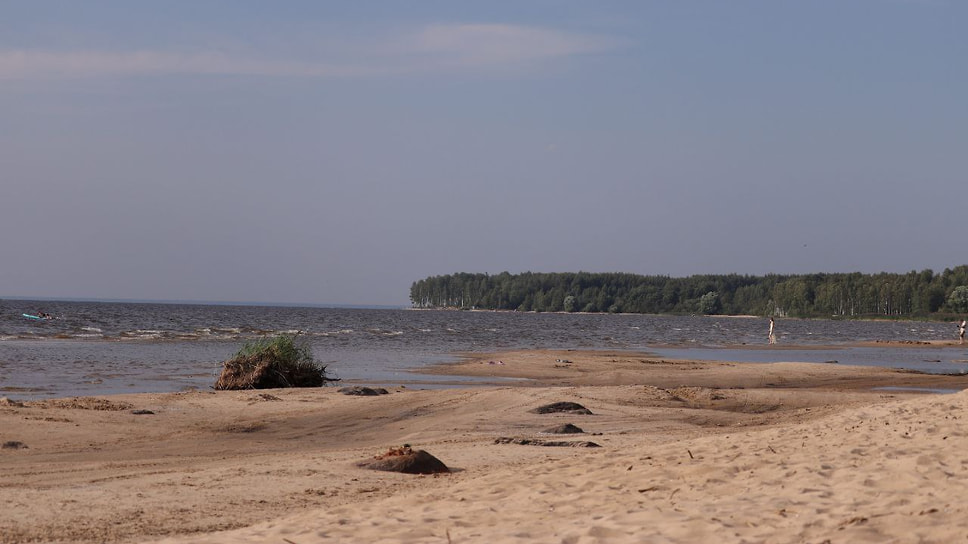 Рыбинское водохранилище - крупнейший искусственный водоем Центральной России. Местные жители называют его морем. На момент создания водохранилище было самым большим в мире по площади зеркала воды. Сегодня это уникальное место для отдыха и рыбалки, на полуострове в северной части находится Дарвинский заповедник