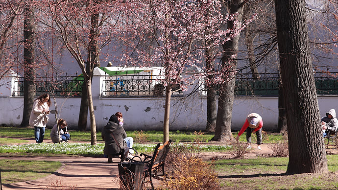 «Как ни в чем не бывало жить под цветущей вишней»