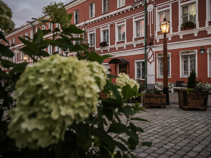 Пешеходные улицы украсили живые цветы и кустарники