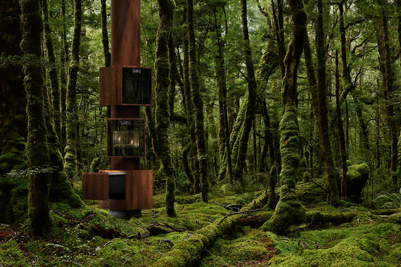 Инсталляция Nature-Ritual представит бытовую технику Fisher & Paykel 