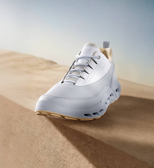 Кроссовки Ecco Biom 720