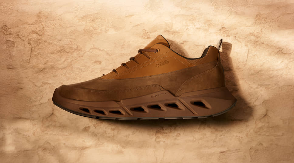 Кроссовки Ecco Biom 720