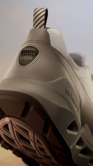 Кроссовки Ecco Biom 720