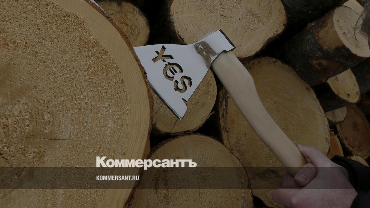 Богатства России прирастают миллионерами и миллиардерами - Коммерсантъ