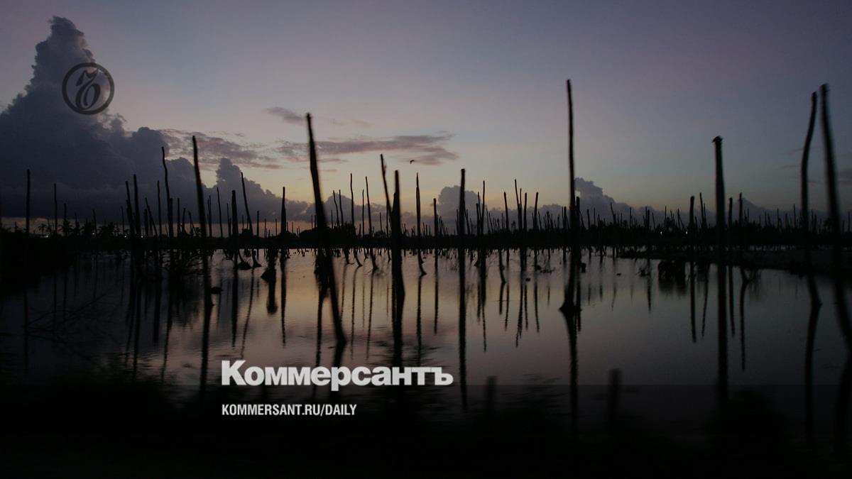 Болота не отпускают