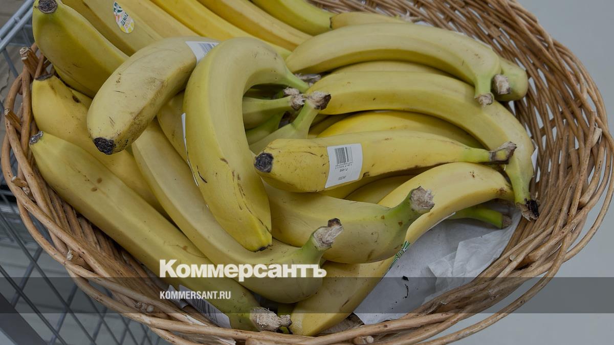 В Сочи начали эксперимент по выращиванию бананов