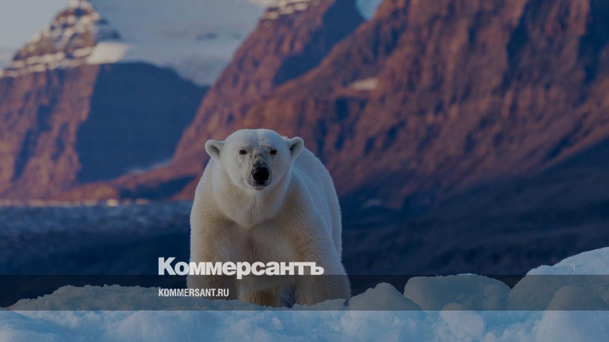 Отдых в проруби // Что такое айс-флоатинг и сколько он стоит