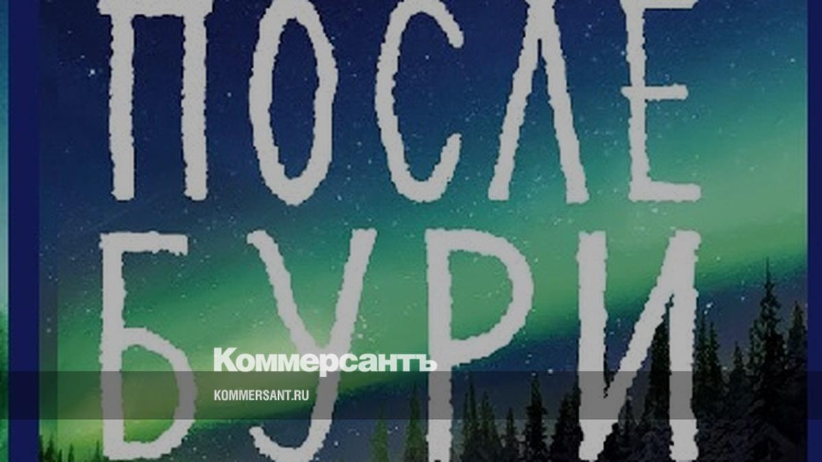 «Литрес» вновь начал продавать книгу Фредрика Бакмана «После бури»