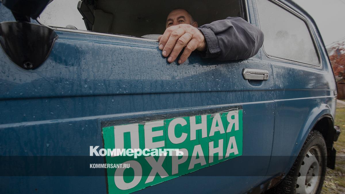 Госдума готовит обязательное страхование жизни и здоровья лесников