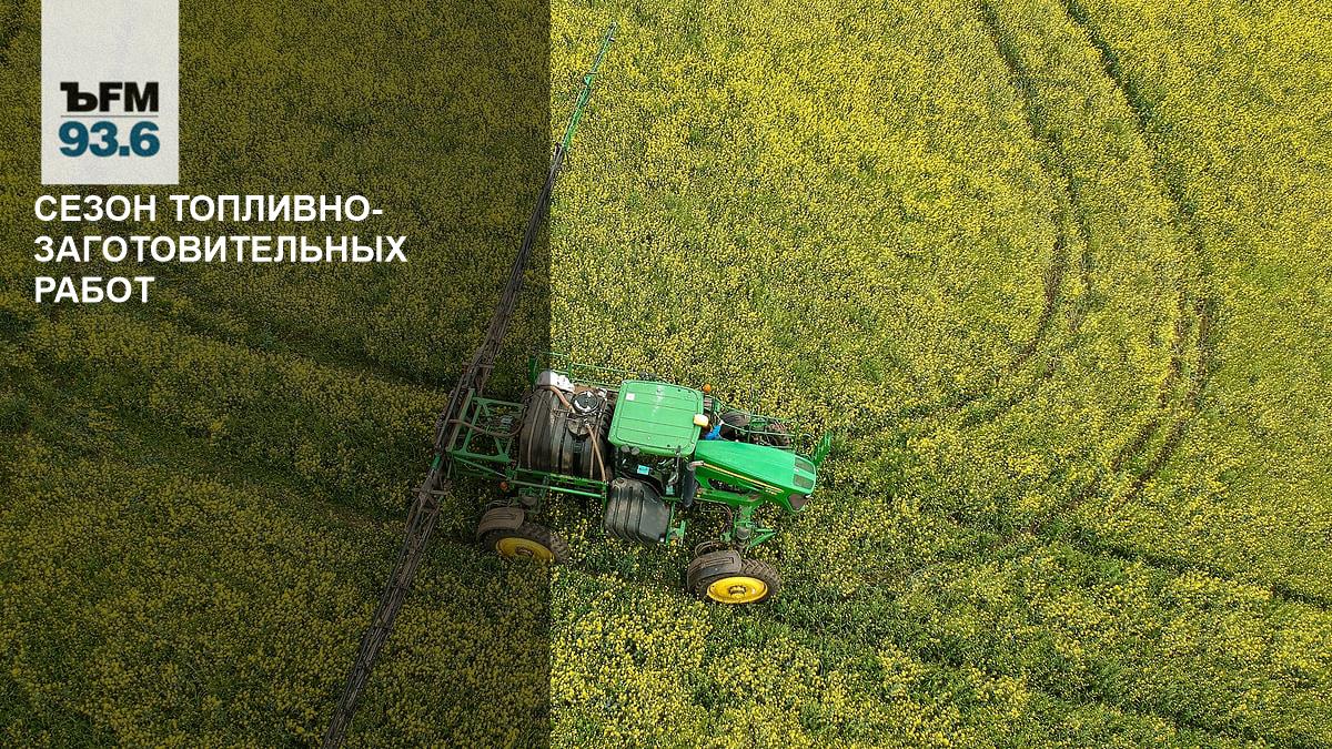 Правительство разрешило производство бензина Евро-3 и снизило норматив биржевых продаж бензина 5-го класса