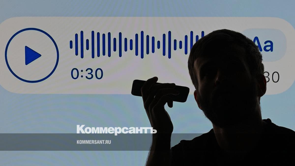 Госдума приняла базовый закон о регулировании искусственного интеллекта в России