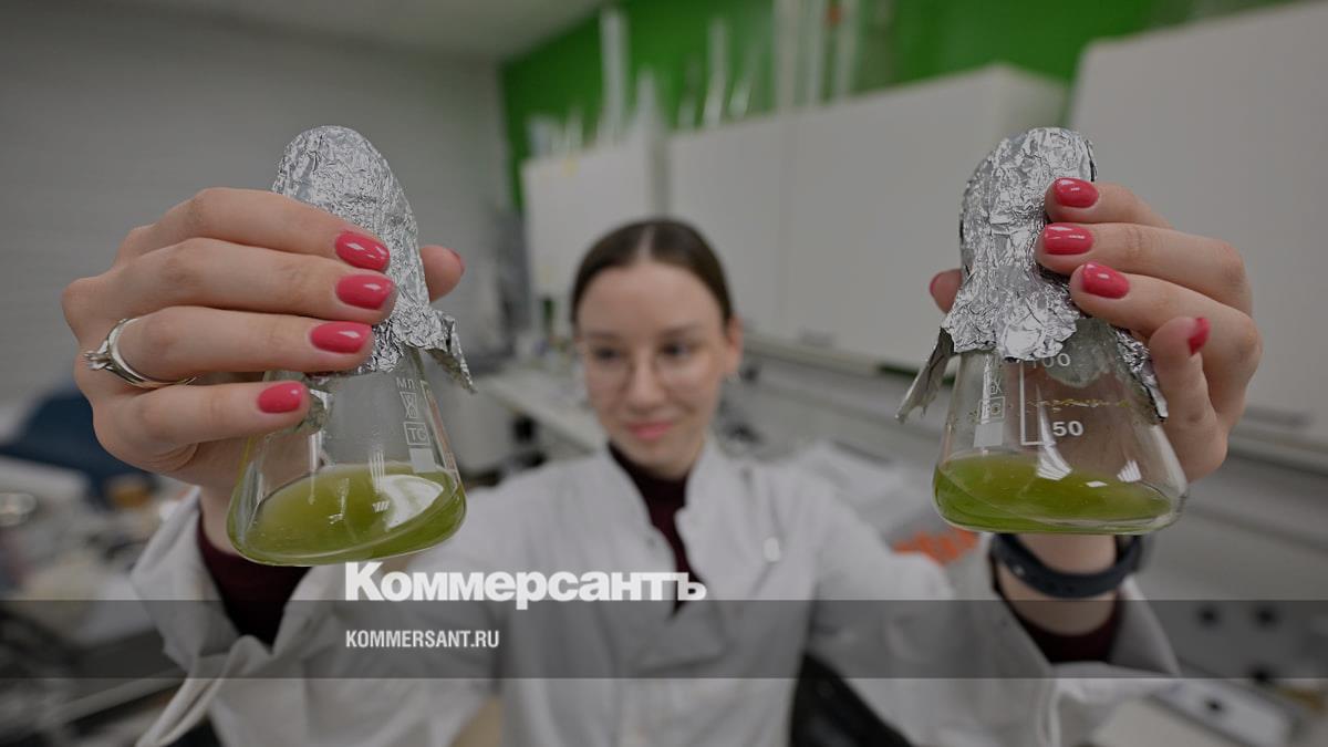 Госдума приняла закон о стажировках студентов и выпускников
