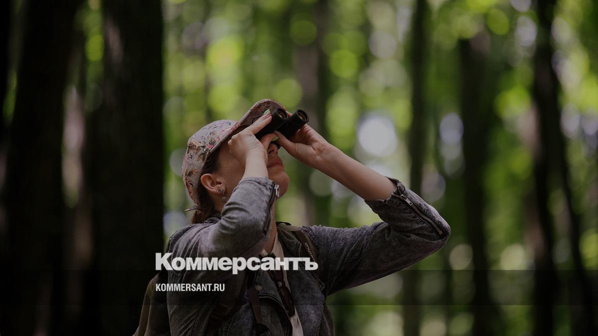 Природные экосистемы не заменят комплексную климатическую политику по снижению выбросов
