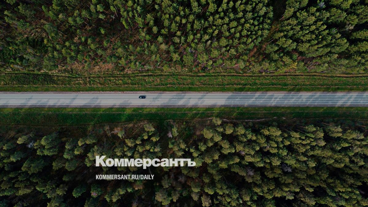 Госдума изменила правила лесоустройства и аренды лесных участков