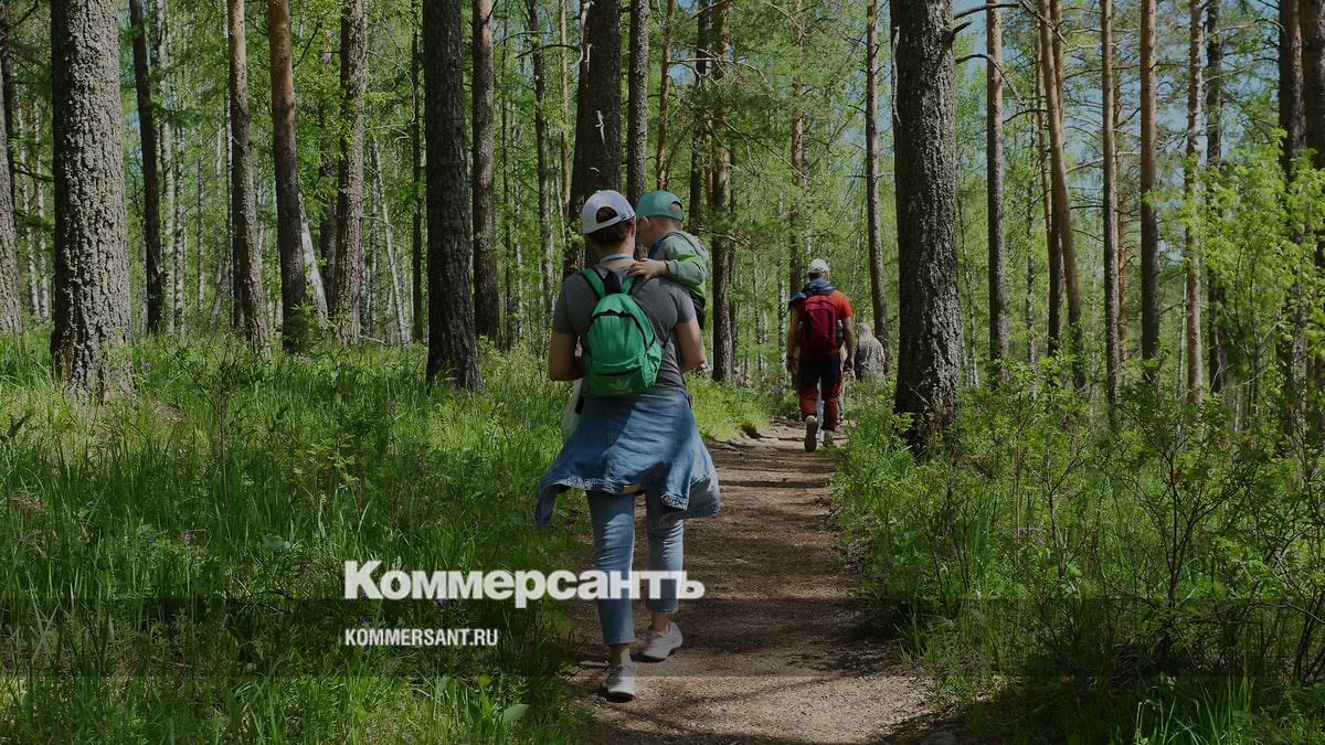 Госдума разрешила прокладывать в лесах дорожки для бега и велосипедов