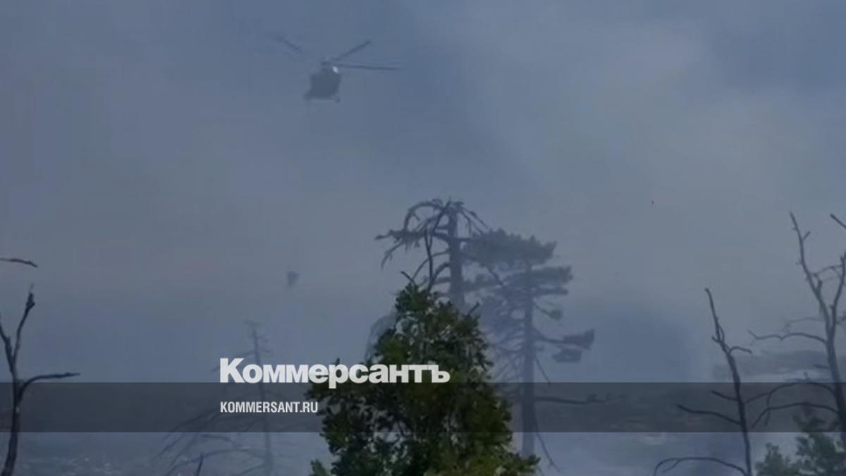 Лесной пожар в Ялте признали чрезвычайной ситуацией регионального уровня