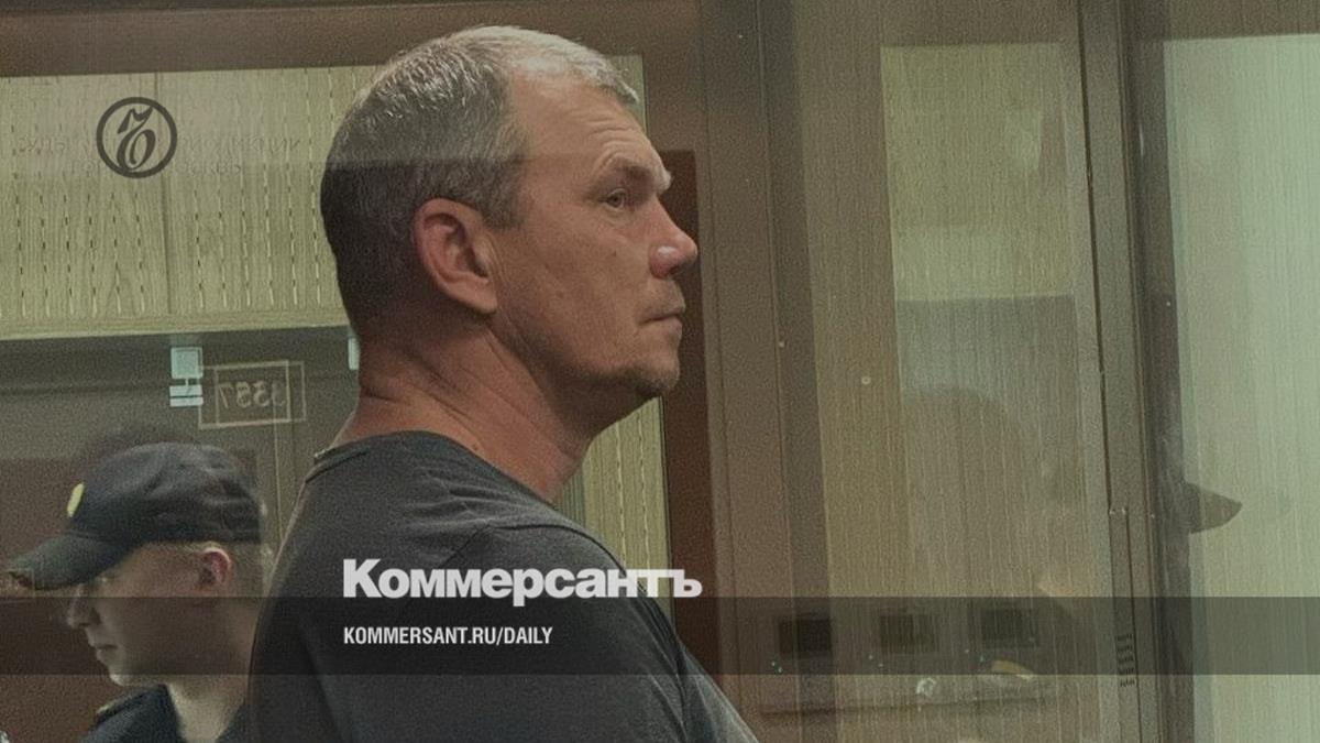 Организатор ОПС в Шереметьево признал вину после ознакомления с делом